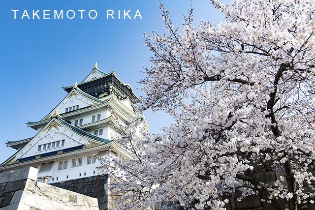 大阪城 桜
