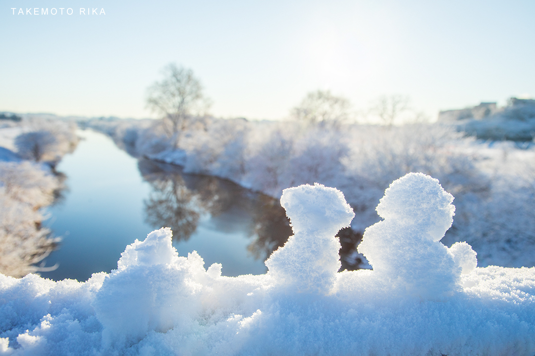 雪の見沼たんぼ